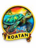 Roatan Tropical Sea Turtle Magnet
